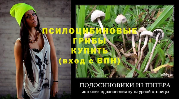 MDMA Белокуриха