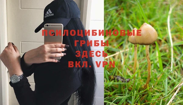 MESCALINE Красноперекопск
